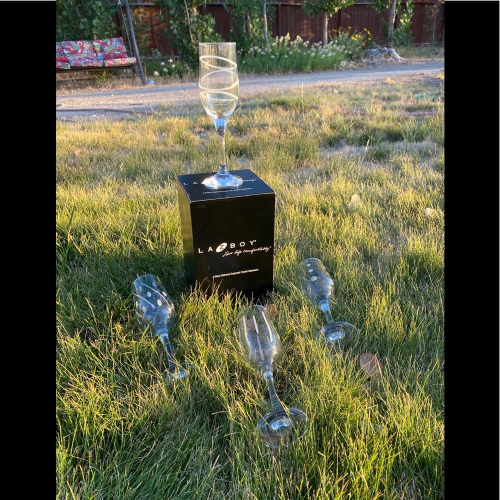 RARE LA Z BOY Diamond engraved crystal glassware